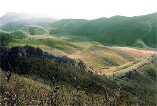 Kohima6.jpg
