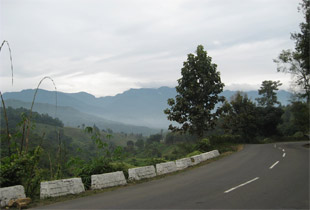 Kohima7.jpg